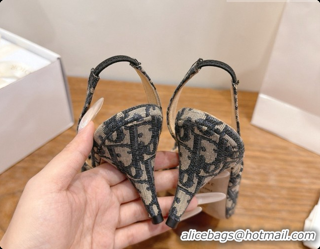 Shop Cheap Dior Bow Heeled Slingback Sandal in Dior Oblique Embroidered Cotton D091036 2026