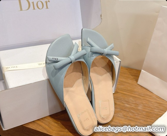 Best Price Dior Lambskin Bow Slide Sandal D091047 Light Blue 2026