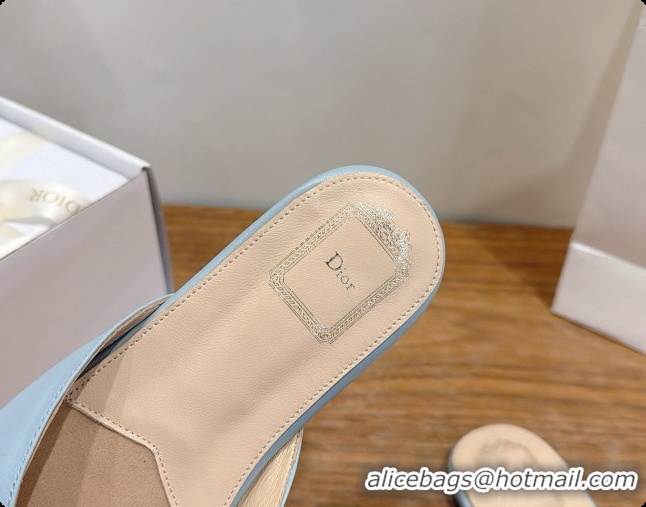 Best Price Dior Lambskin Bow Slide Sandal D091047 Light Blue 2026