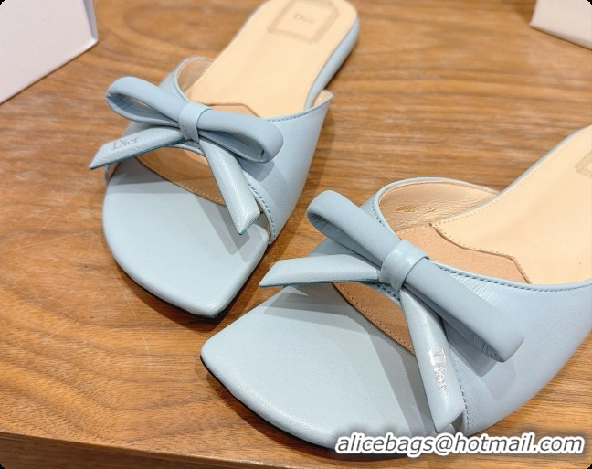 Best Price Dior Lambskin Bow Slide Sandal D091047 Light Blue 2026