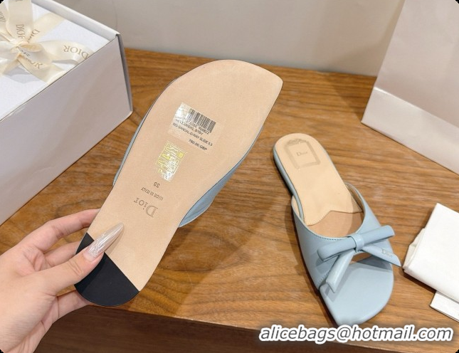 Best Price Dior Lambskin Bow Slide Sandal D091047 Light Blue 2026