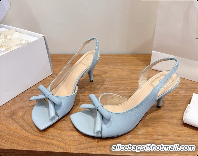 Fashion Luxury Dior Heeled Slingback Sandal in Lambskin 7.5cm D091059 Light Blue 2026
