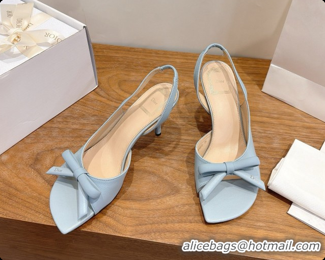 Fashion Luxury Dior Heeled Slingback Sandal in Lambskin 7.5cm D091059 Light Blue 2026
