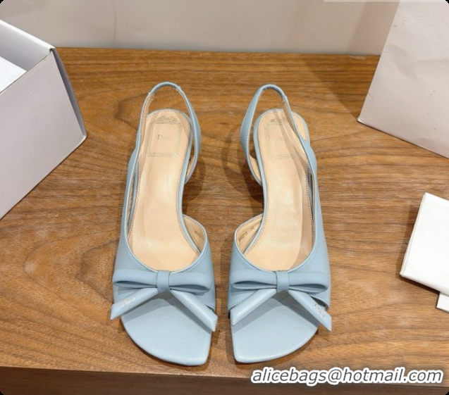 Purchase Dior Heeled Slingback Sandal in Lambskin 3.5cm Heel D091063 Light Blue 2026