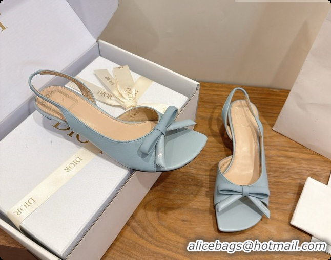 Purchase Dior Heeled Slingback Sandal in Lambskin 3.5cm Heel D091063 Light Blue 2026