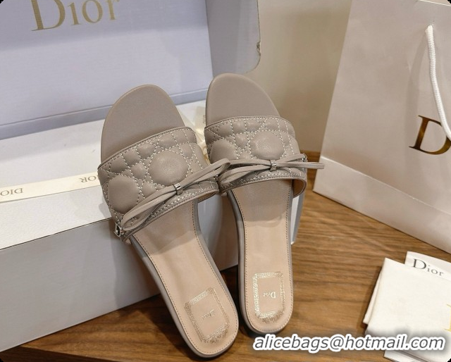 Sumptuous Dior Cannage Slide in Black Quilted Cannage Lambskin Grey 6091072 2026