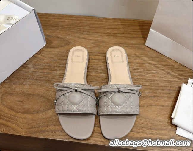 Sumptuous Dior Cannage Slide in Black Quilted Cannage Lambskin Grey 6091072 2026