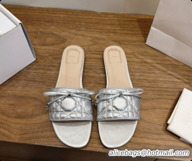 Top Quality Dior Cannage Slide in Black Quilted Cannage Lambskin Silver 6091106 2026