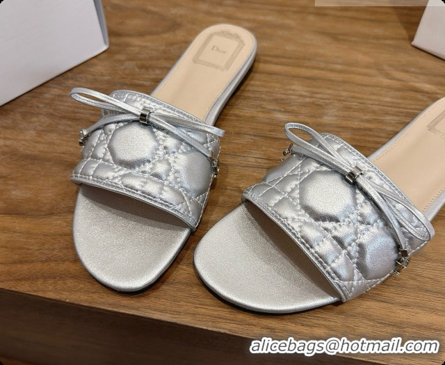 Top Quality Dior Cannage Slide in Black Quilted Cannage Lambskin Silver 6091106 2026