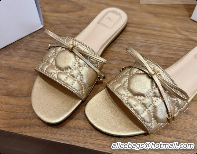 Big Discount Dior Cannage Slide in Black Quilted Cannage Lambskin 6091107 Gold 2026