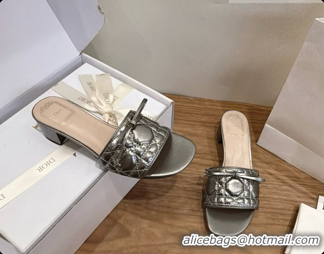 Sumptuous Dior Cannage Heeled Slide in Black Quilted Cannage Lambskin 3.5cm Heel Silver Grey 6091080 2026