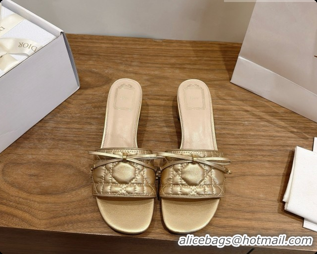 Classic Practical Dior Cannage Heeled Slide in Black Quilted Cannage Lambskin 3.5cm Heel Gold 6091110 2026