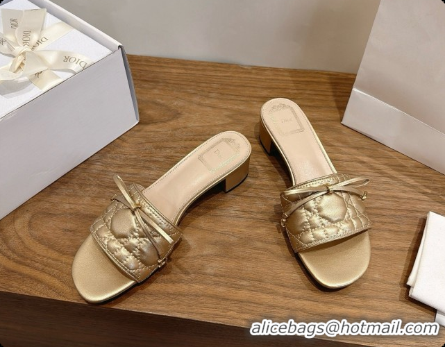 Classic Practical Dior Cannage Heeled Slide in Black Quilted Cannage Lambskin 3.5cm Heel Gold 6091110 2026