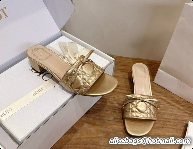 Classic Practical Dior Cannage Heeled Slide in Black Quilted Cannage Lambskin 3.5cm Heel Gold 6091110 2026