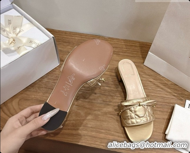 Classic Practical Dior Cannage Heeled Slide in Black Quilted Cannage Lambskin 3.5cm Heel Gold 6091110 2026