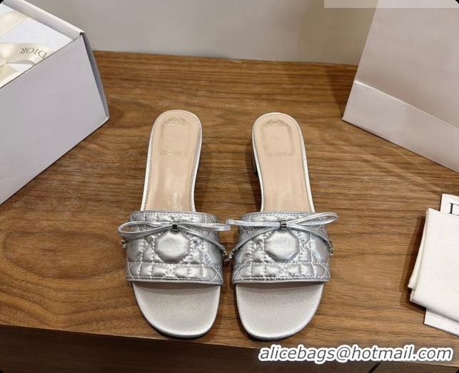 Low Price Dior Cannage Heeled Slide in Black Quilted Cannage Lambskin 3.5cm Heel Silver 6091114 2026