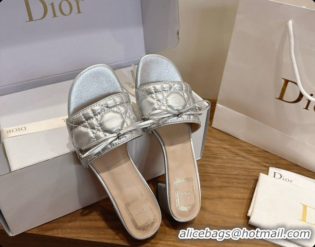 Low Price Dior Cannage Heeled Slide in Black Quilted Cannage Lambskin 3.5cm Heel Silver 6091114 2026
