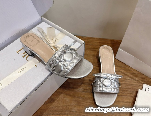 Low Price Dior Cannage Heeled Slide in Black Quilted Cannage Lambskin 3.5cm Heel Silver 6091114 2026