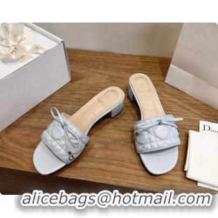 Inexpensive Dior Cannage Heeled Slide in Black Quilted Cannage Lambskin 3.5cm Heel Blue Grey 6091115 2026