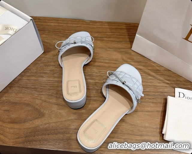 Inexpensive Dior Cannage Heeled Slide in Black Quilted Cannage Lambskin 3.5cm Heel Blue Grey 6091115 2026