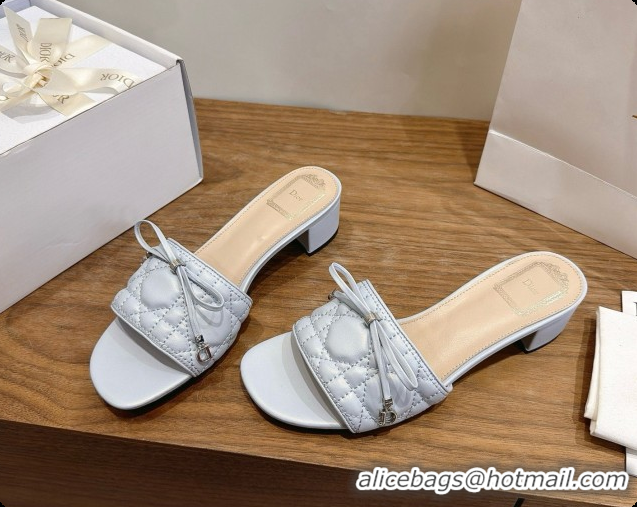 Inexpensive Dior Cannage Heeled Slide in Black Quilted Cannage Lambskin 3.5cm Heel Blue Grey 6091115 2026