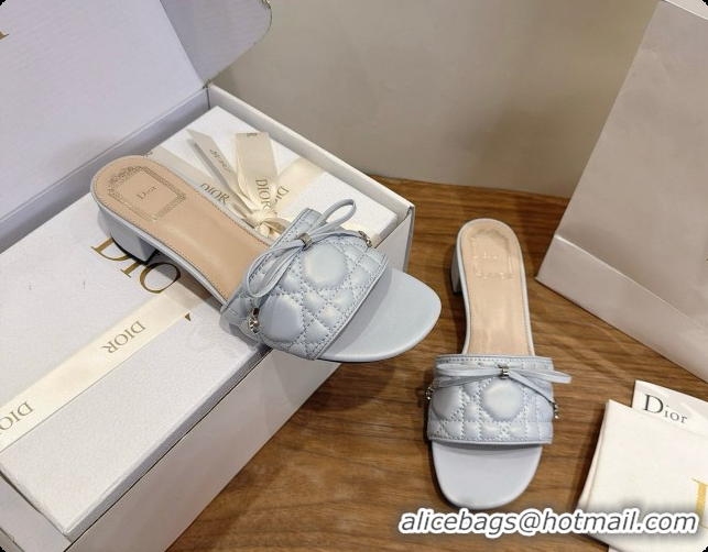 Inexpensive Dior Cannage Heeled Slide in Black Quilted Cannage Lambskin 3.5cm Heel Blue Grey 6091115 2026