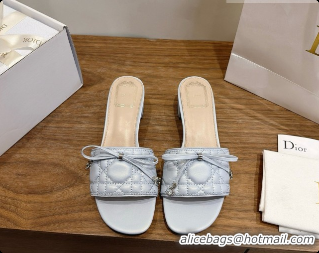 Inexpensive Dior Cannage Heeled Slide in Black Quilted Cannage Lambskin 3.5cm Heel Blue Grey 6091115 2026