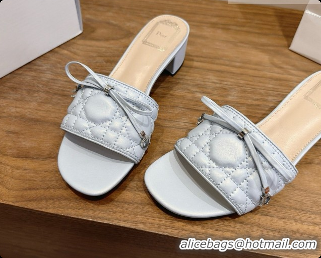 Inexpensive Dior Cannage Heeled Slide in Black Quilted Cannage Lambskin 3.5cm Heel Blue Grey 6091115 2026