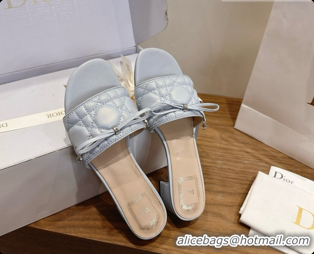 Inexpensive Dior Cannage Heeled Slide in Black Quilted Cannage Lambskin 3.5cm Heel Blue Grey 6091115 2026