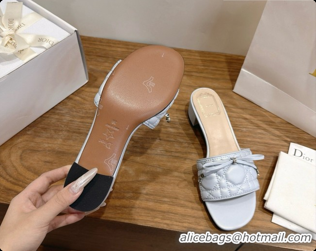 Inexpensive Dior Cannage Heeled Slide in Black Quilted Cannage Lambskin 3.5cm Heel Blue Grey 6091115 2026