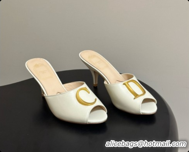 Low Cost Dior Initials Heeled Slide in Black Leather 7.5cm Heel D091153 White 2026
