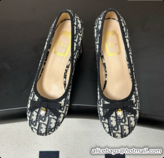 Unique Style Dior Ballet Pumps in Dior Oblique Motif 8cm Heel D091159 2026