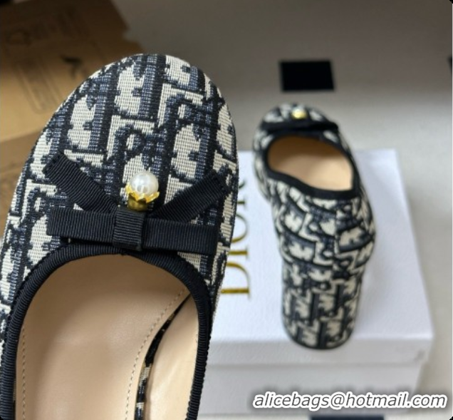 Unique Style Dior Ballet Pumps in Dior Oblique Motif 8cm Heel D091159 2026