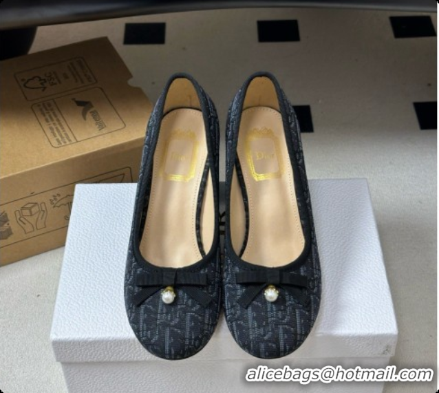 Unique Grade Dior Ballet Pumps in Dior Oblique Motif 8cm Heel D091160 2026