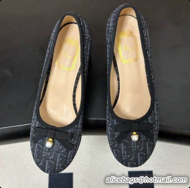 Unique Grade Dior Ballet Pumps in Dior Oblique Motif 8cm Heel D091160 2026