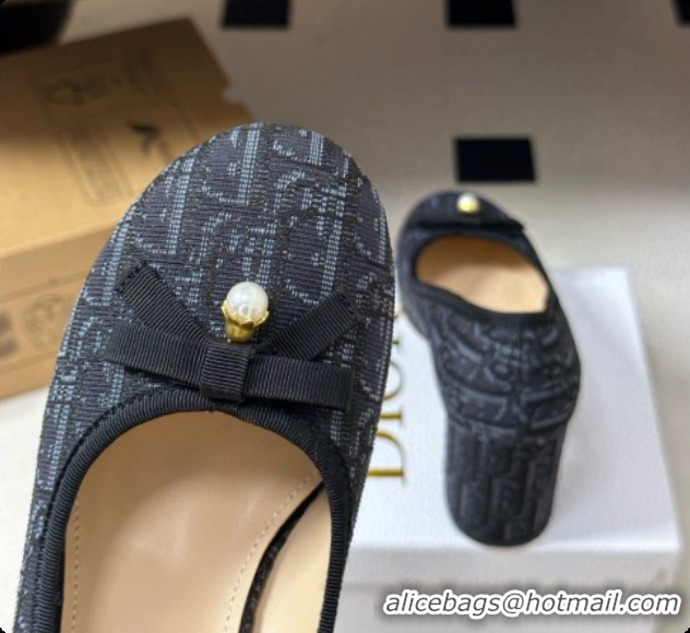 Unique Grade Dior Ballet Pumps in Dior Oblique Motif 8cm Heel D091160 2026