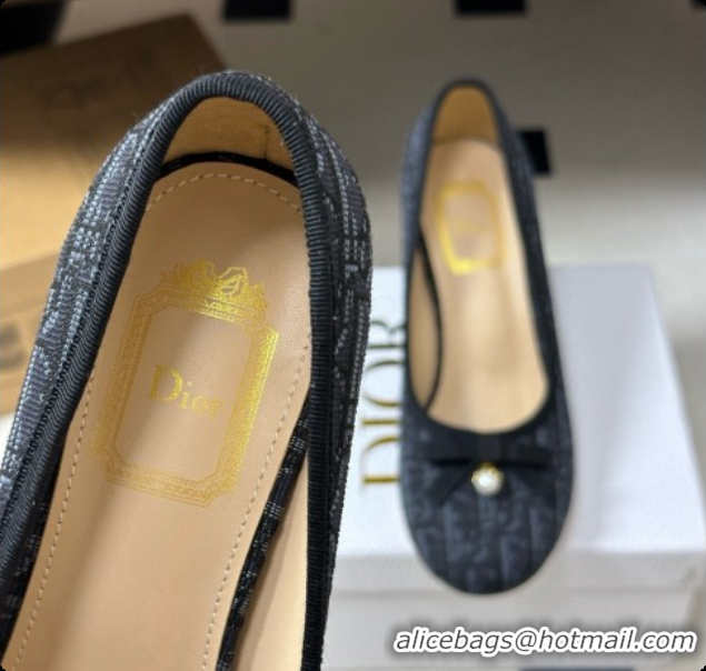 Unique Grade Dior Ballet Pumps in Dior Oblique Motif 8cm Heel D091160 2026