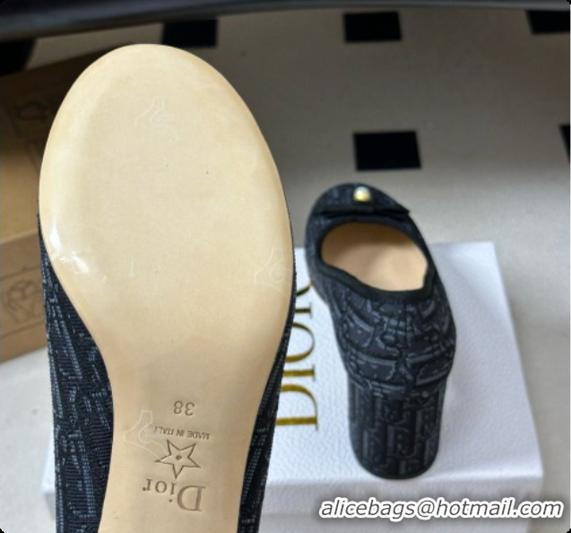 Unique Grade Dior Ballet Pumps in Dior Oblique Motif 8cm Heel D091160 2026