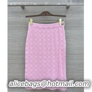 Big Discount Dior Knit Skirt D090718 Pink 2026