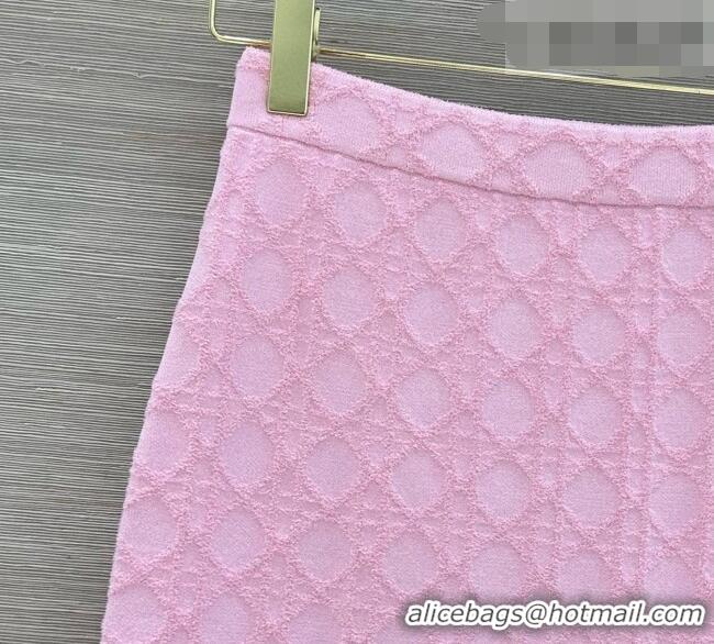 Big Discount Dior Knit Skirt D090718 Pink 2026