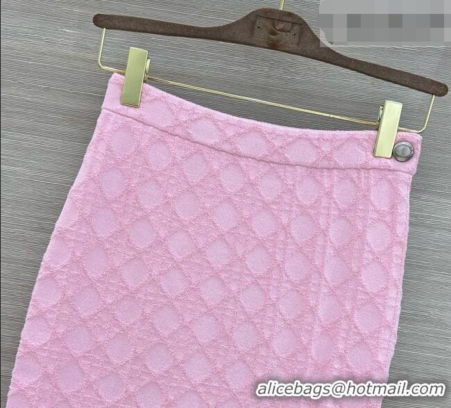 Big Discount Dior Knit Skirt D090718 Pink 2026