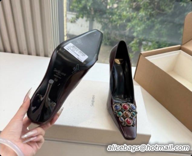 Affordable Price Saint Laurent ICELAND Pumps in Smooth leather and Crystals Dark Burgundy 6091516 2026