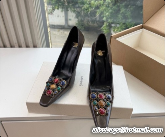 Good Product Saint Laurent ICELAND Pumps in Smooth leather and Crystals Dark Brown 6091518 2026