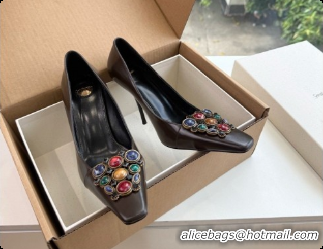 Good Product Saint Laurent ICELAND Pumps in Smooth leather and Crystals Dark Brown 6091518 2026