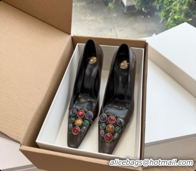 Good Product Saint Laurent ICELAND Pumps in Smooth leather and Crystals Dark Brown 6091518 2026