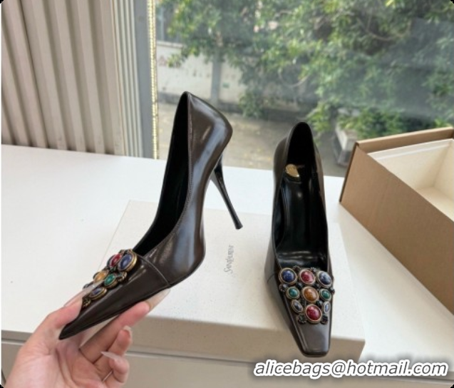 Good Product Saint Laurent ICELAND Pumps in Smooth leather and Crystals Dark Brown 6091518 2026