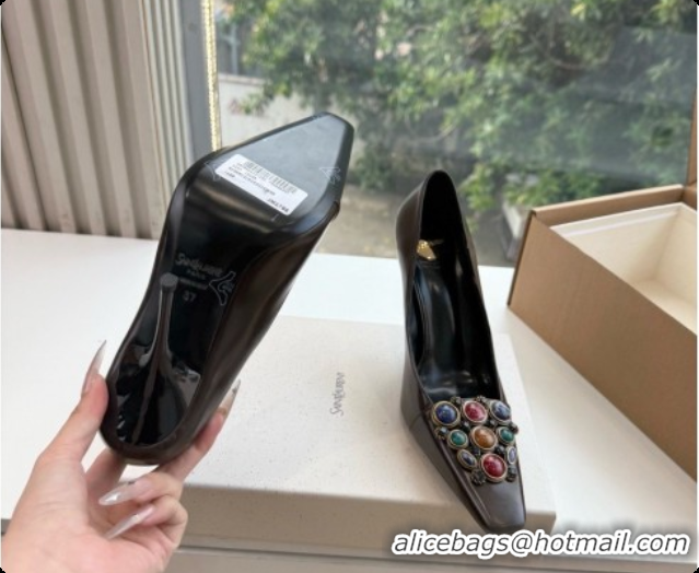 Good Product Saint Laurent ICELAND Pumps in Smooth leather and Crystals Dark Brown 6091518 2026