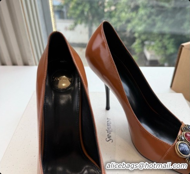 Shop Duplicate Saint Laurent ICELAND Pumps in Smooth leather and Crystals Brown 6091520 2026