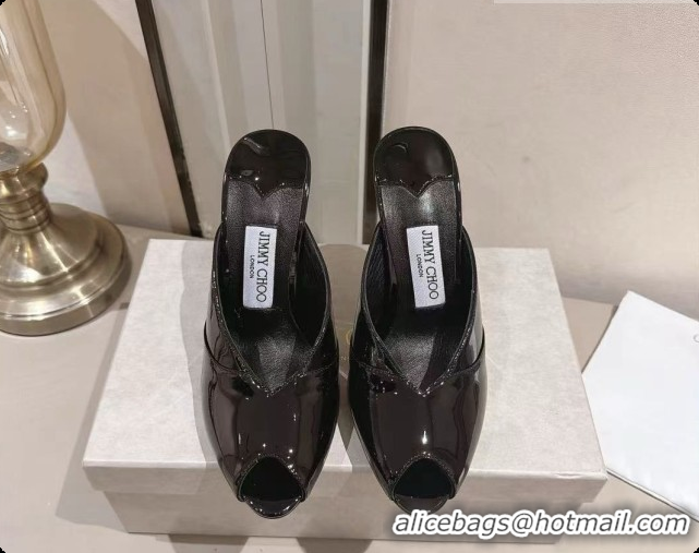 Best Design Jimmy Choo Brigitte Mule 100 in Black Patent Leather 10cm Heel 6091209 2026