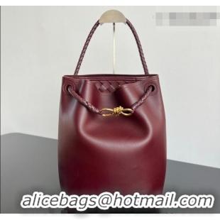 Luxury Cheap Bottega Veneta Andiamo Bucket Bag in Silky Leather 844169 Barolo Red 2026